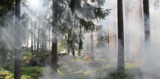 Na řeckém ostrově Euboia vypukl lesní požár, blíží se k turistické oblasti